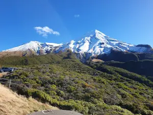 Manganui