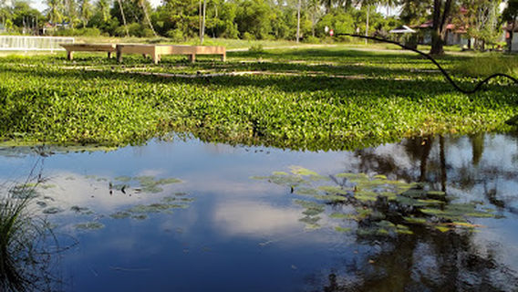 Kampung Gong Pasir Kerandang