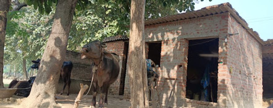 Nihal Yadav Farm House
