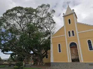 Paróquia Nossa Senhora das Vitórias
