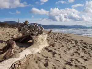 Spiaggia di Marina di Alberese