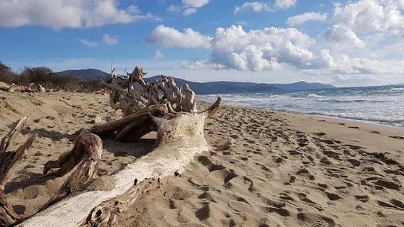 Spiaggia di Marina di Alberese