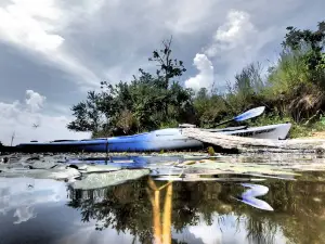 Lake Sugema