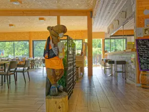 Camping Beaver