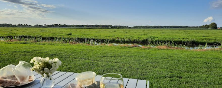 Melkveehouderij & Camping Doornenbal