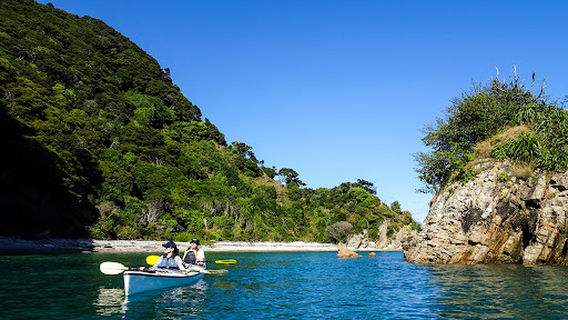 Golden Bay Kayaks- Abel Tasman