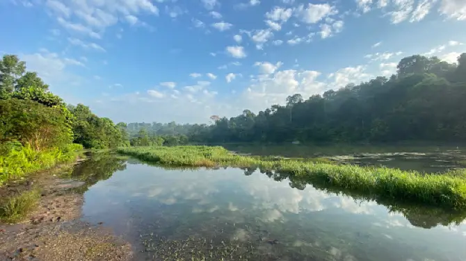 PCN - Lornie Nature Corridor