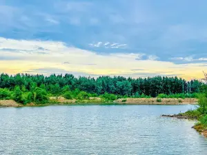 Bãi Đầu Rồng Hải Hà Quảng Ninh