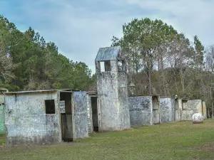Paintball Charleston