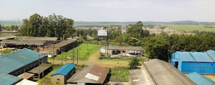 green stadium awendo