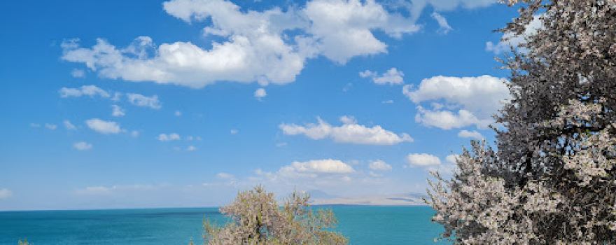 Güven Piknik Alanı