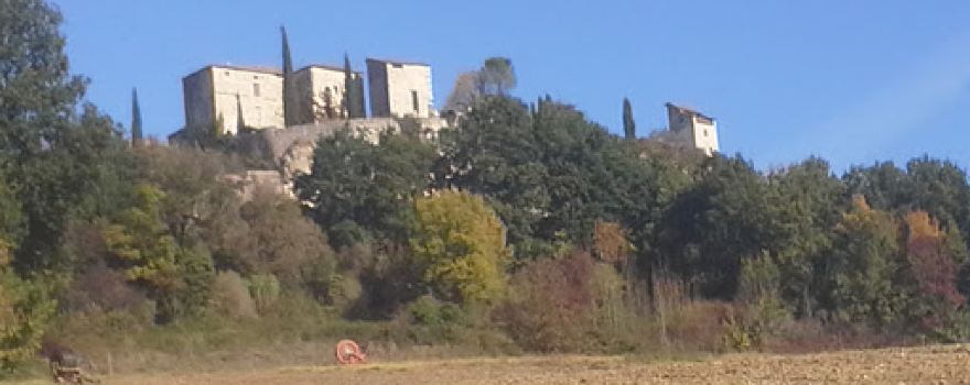 Horse Farm Les Crins Du Col