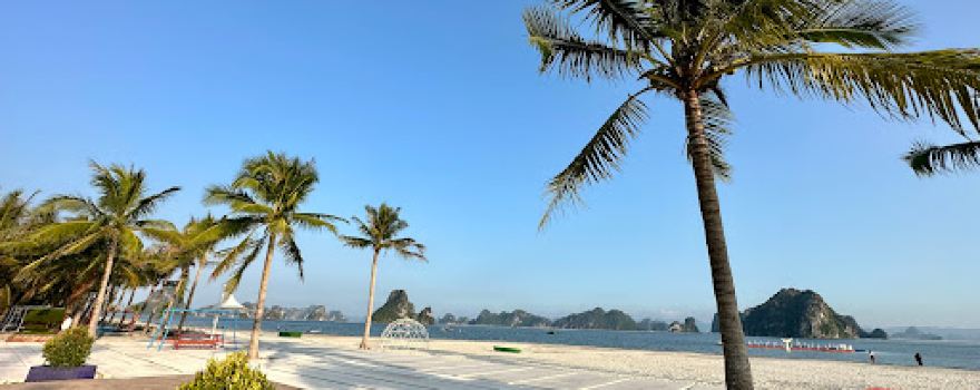 Phuong Dong Wonder Island beach