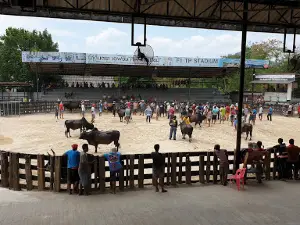 สนามกีฬาชนโคทุ่งโพธิ์สเตเดียม Thungpho Bullfighting Stadium