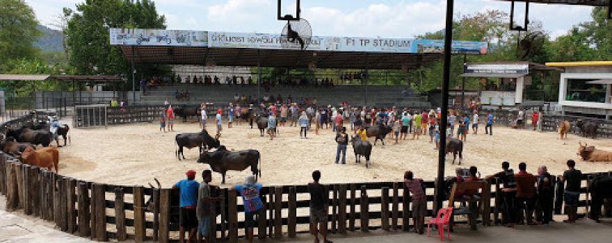 สนามกีฬาชนโคทุ่งโพธิ์สเตเดียม Thungpho Bullfighting Stadium