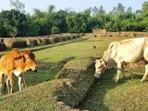 Sitakot Bihar