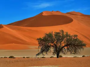 Sesriem Campsite - NWR