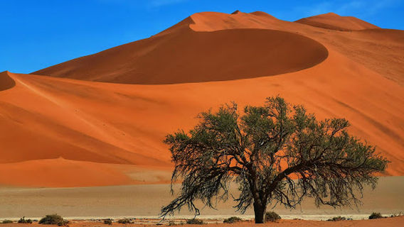 Sesriem Campsite - NWR