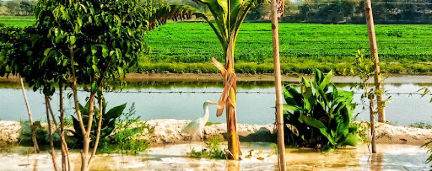 yamuna mission Dharm Path