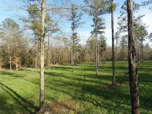 Woods-N-Water Inc