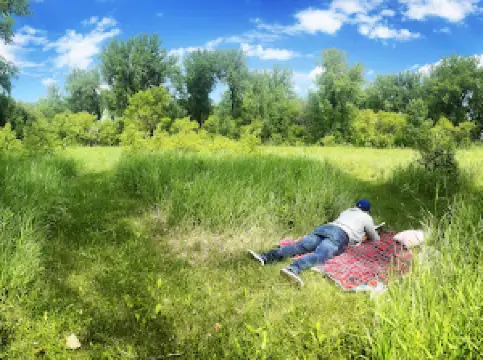 Nowesta Memorial Grove