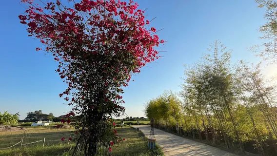 The Cocoon Sauna & Ice bath