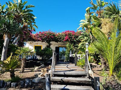 Praia da Armona (Mar)