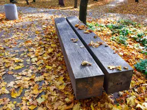 The City Park. Żeromskiego