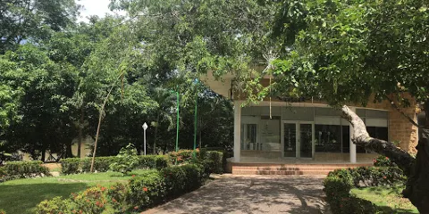 Museo Zenu de Arte Contemporaneo
