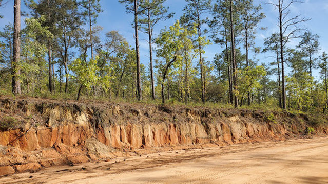 Yellow River Wildlife Management Area