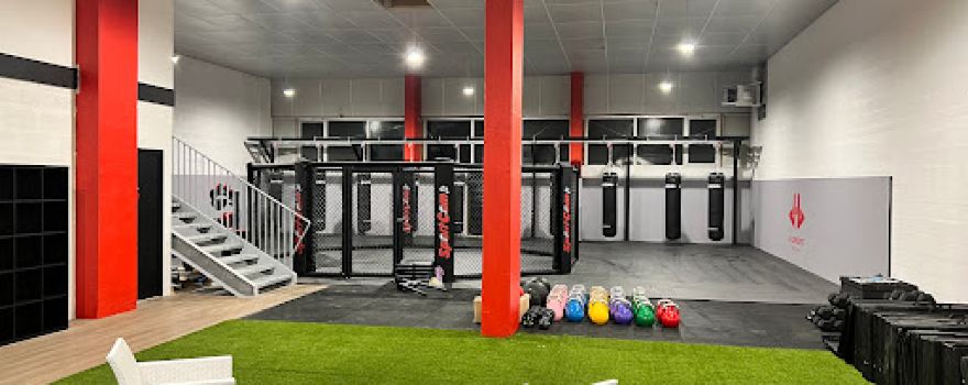JLH CrossFit IFS