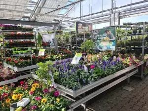Dehner Garten-Center