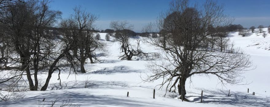 Départ des pistes Nordique "Cuvéry" - Station de ski Plateau de Retord