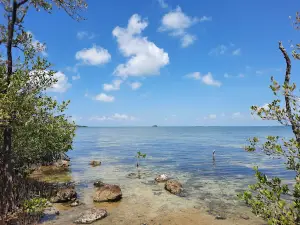Wild Bird Sanctuary - Florida Keys Wild Bird Center