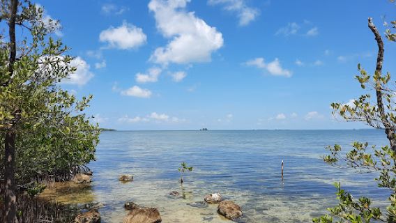 Wild Bird Sanctuary - Florida Keys Wild Bird Center