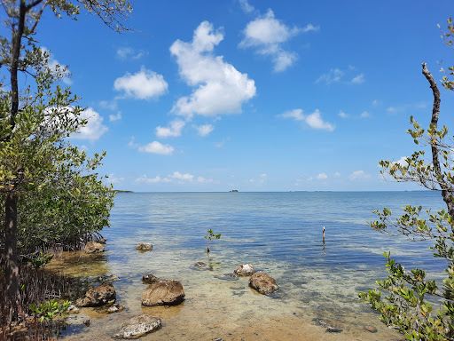 Wild Bird Sanctuary - Florida Keys Wild Bird Center