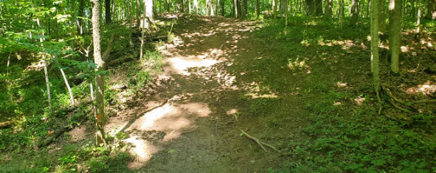 Recreation Department