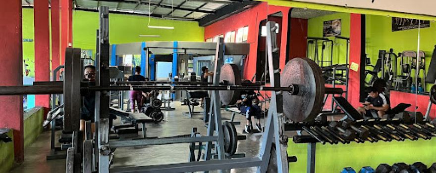 Perfect Body Gym