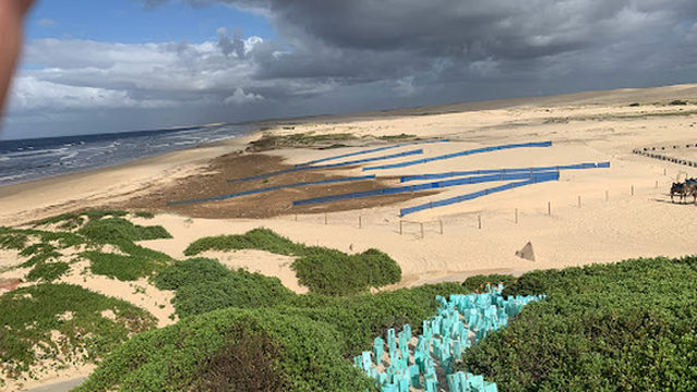 Worimi Regional Park