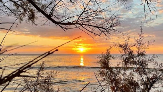 Naturista Pizzo Greco