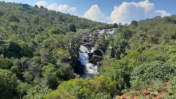 Chipinge