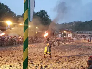 Freienfelser Ritterspiele - 28. Freienfelser Ritterspiele 18.05-21.05.2023