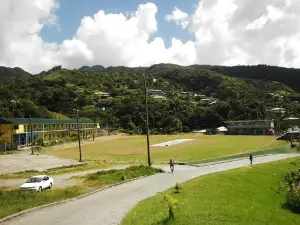 Teza Grounds