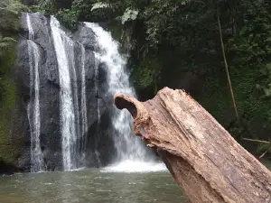 Air Terjun Sangeh