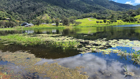 Middle Creek Dam