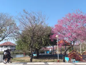 Children's Paradise