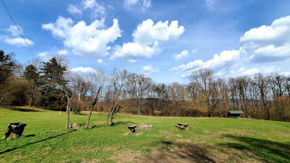 Lajos Spring