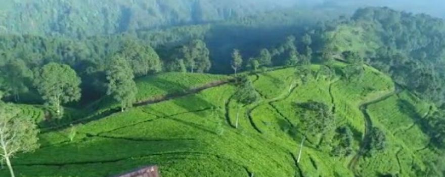 Wisata Agro Puncak Tombo
