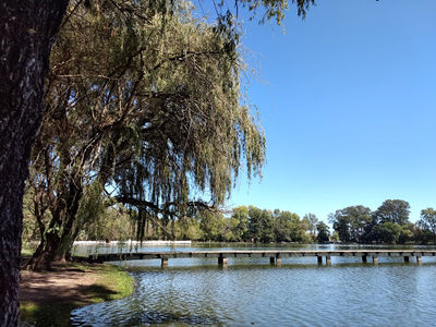 Parque Gral. San Martin, 9 De Julio, Buenos Aires