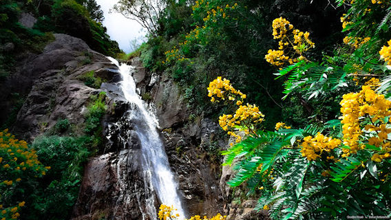 Ratnapura